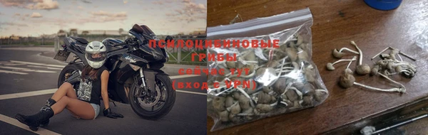 шишки Медногорск