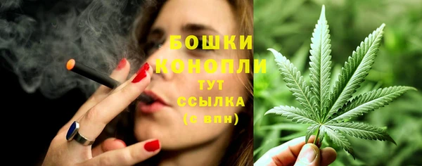 шишки Медногорск