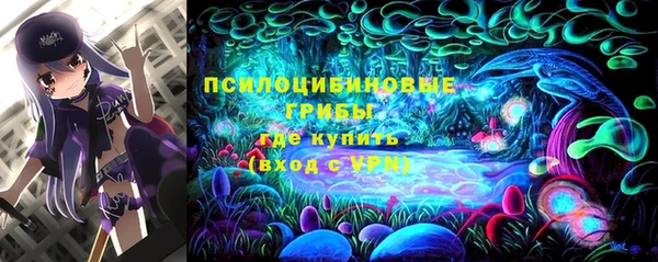 шишки Медногорск