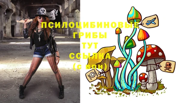 прущий лед Мегион