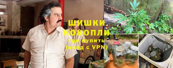 шишки Медногорск
