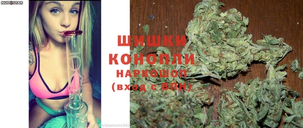 шишки Медногорск