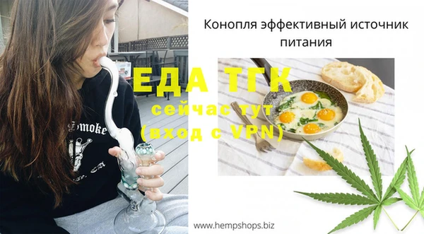 шишки Медногорск