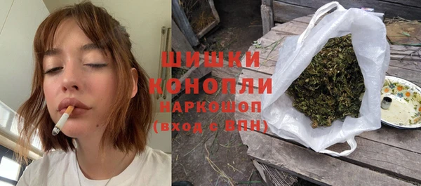шишки Медногорск