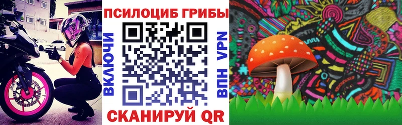закладка  Юхнов  Псилоцибиновые грибы мухоморы 